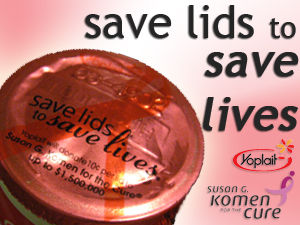 Save Lids 01